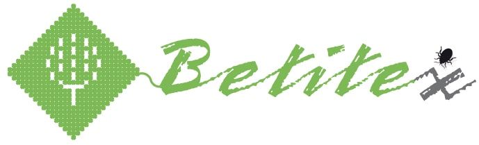 El proyecto BETITEX estrena video
