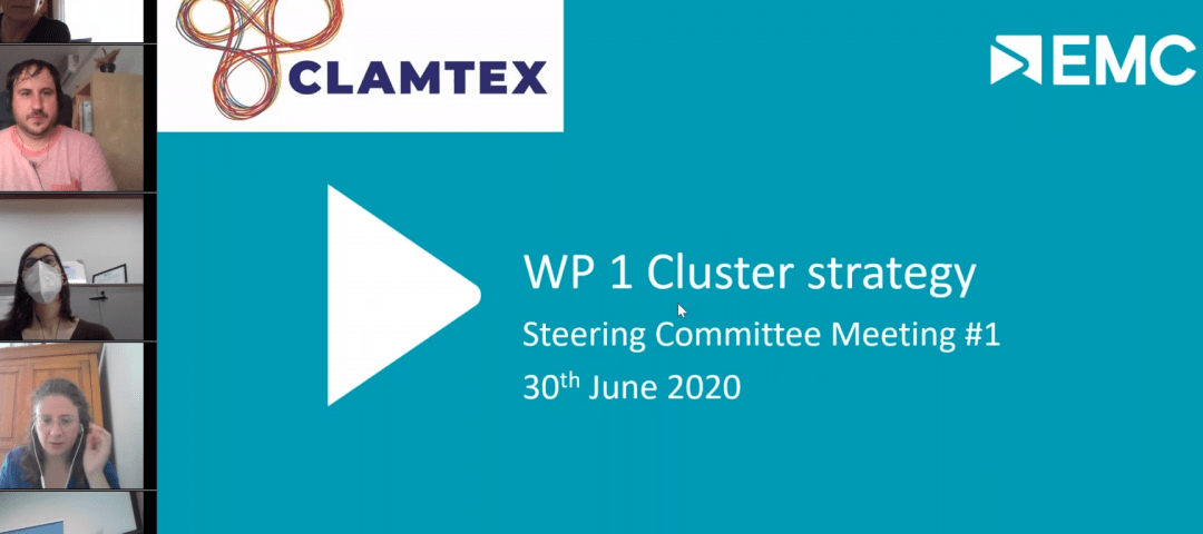 Reunions virtuals del projecte CLAMTEX