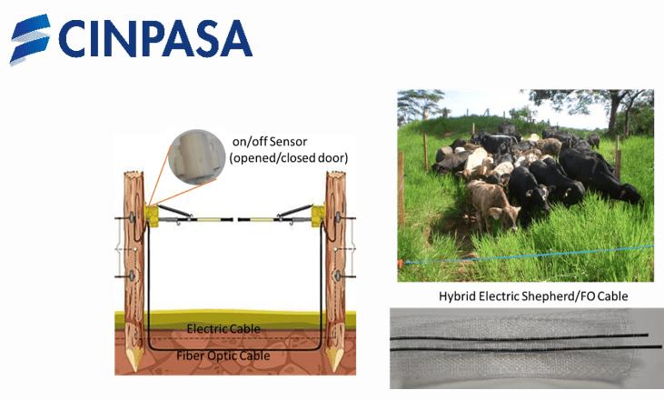 CINPASA’s “e-shepherd” prototype: a novel smart-tape for agriculture applications